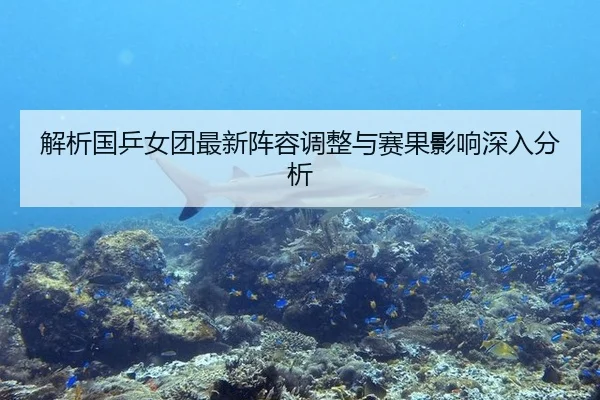 解析国乒女团最新阵容调整与赛果影响深入分析